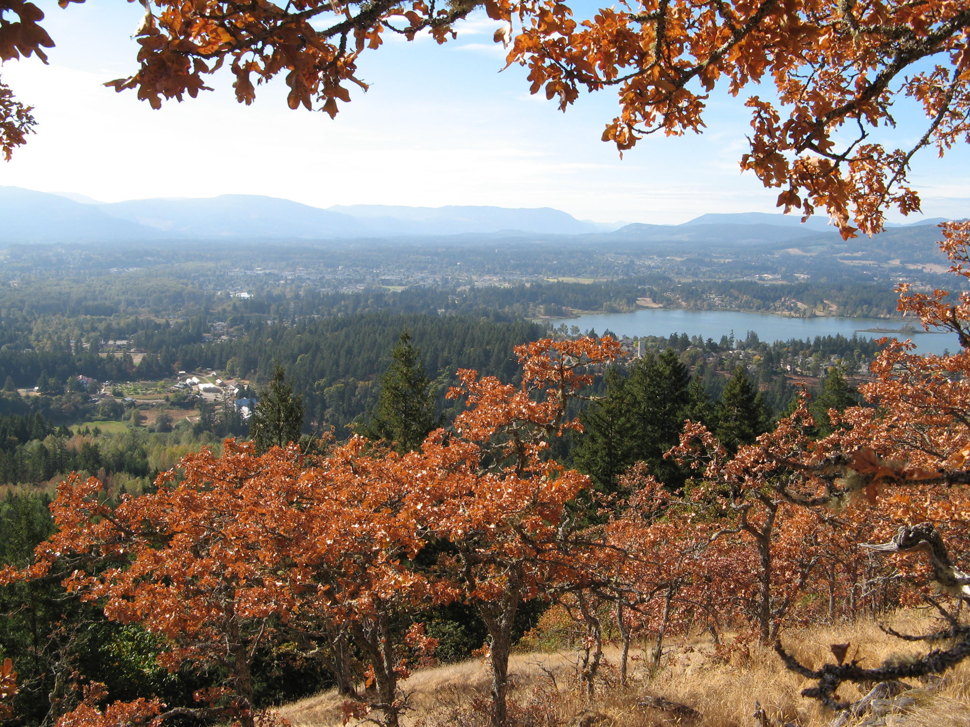 Garry Oak Ecosystems